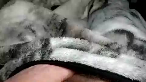 stargazor online show from 12-20-24, 10:05