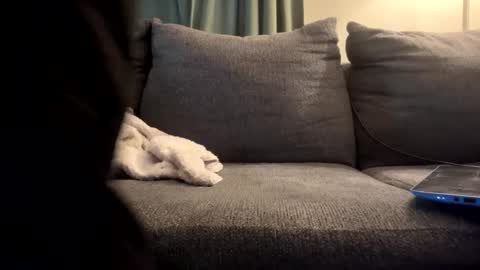 starr3095 online show from 09-17-25, 01:46