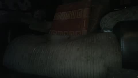 ste_wulf online show from 03-04-25, 01:34