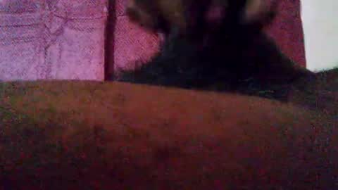 Snapshot of stebel666185 chatting on 09-22-25, 01:24 stebel666185 online show from 09-22-25, 01:24