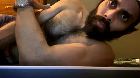 Lobo del Antiguo Oriente online show from 04-22-26, 01:52