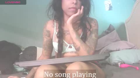 Stella Clitella online show from 11-22-25, 07:02