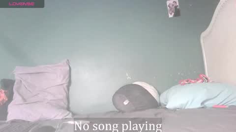 Stella Clitella online show from 11-24-25, 09:09