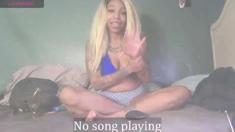 Stella Clitella online show from 04-11-26, 07:24