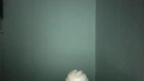 Alpharius 17 online show from 01-19-26, 12:25