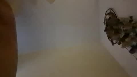 Snapshot of sterng123 chatting on 12-10-24, 09:01 sterng123 online show from 12-10-24, 09:01