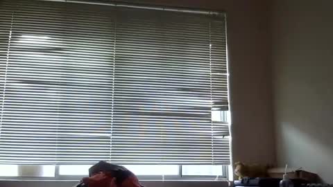 Snapshot of steveaussie chatting on 12-08-24, 09:41 Australian420 online show from 12-08-24, 09:41