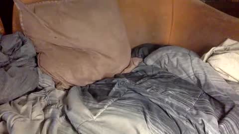 Snapshot of stevemason718 chatting on 02-20-25, 04:14 STEVE CASHMASTER 1comedia online show from 02-20-25, 04:14