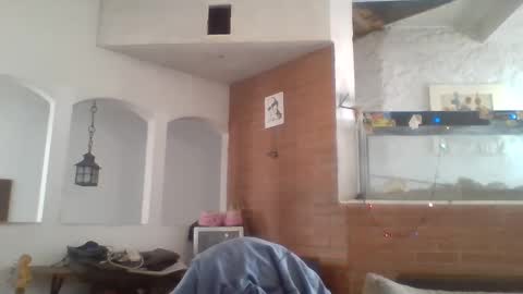 Snapshot of stevenson988 chatting on 12-26-24, 06:12 stevenson988 online show from 12-26-24, 06:12