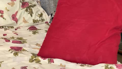 Chris online show from 10-14-25, 08:37