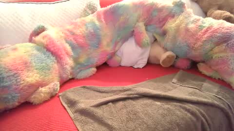 stickyjoe26 online show from 01-22-25, 11:32