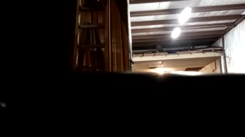 Snapshot of stokely571996 chatting on 12-16-24, 12:48 Oval2022 online show from 12-16-24, 12:48