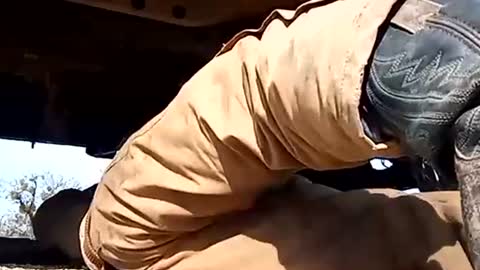 Snapshot of stokely571996 chatting on 01-01-25, 06:16 Oval2022 online show from 01-01-25, 06:16