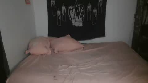 Snapshot of stoned2dabones666 chatting on 03-03-25, 06:01 Haily online show from 03-03-25, 06:01