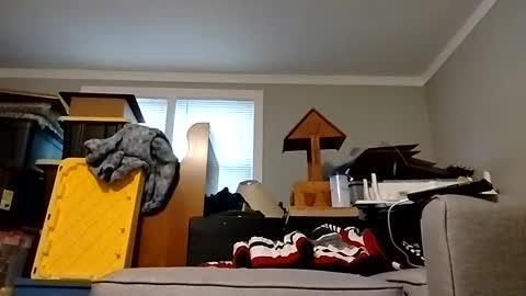 Snapshot of str33twyz3 chatting on 10-25-25, 12:34 Streetwyze online show from 10-25-25, 12:34