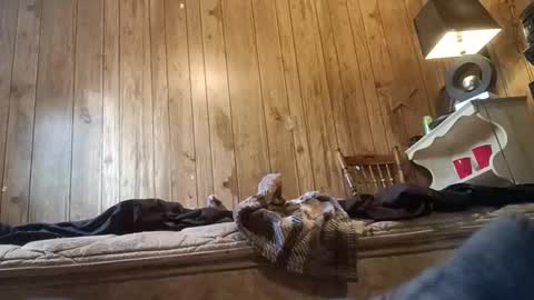 Snapshot of straighttoy chatting on 11-03-25, 03:24 straighttoy online show from 11-03-25, 03:24