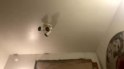 Stag online show from 09-27-25, 07:46