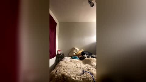 Stag online show from 01-10-26, 06:04