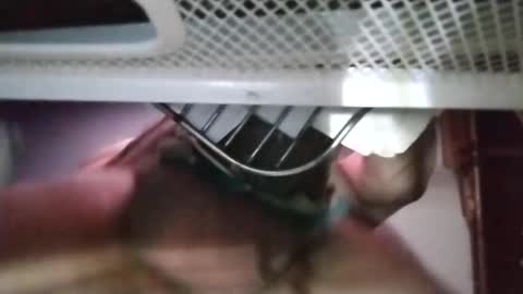 stuffamuffagus69 online show from 11-18-25, 01:11