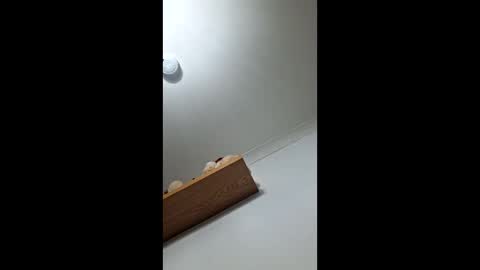 sub199958 online show from 12-21-25, 05:42