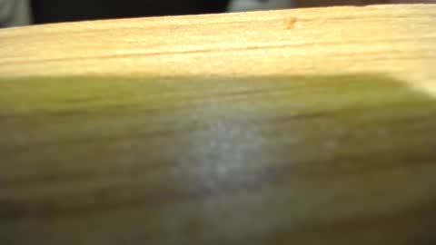 subswitchuser online show from 01-15-25, 06:08