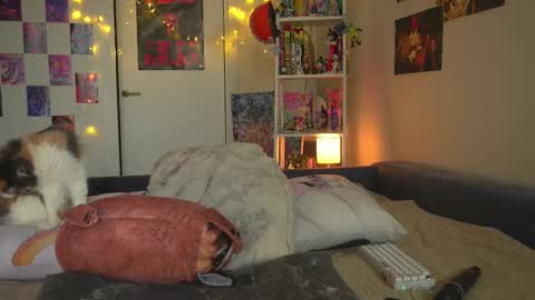 succubus_66 online show from 02-12-25, 11:40