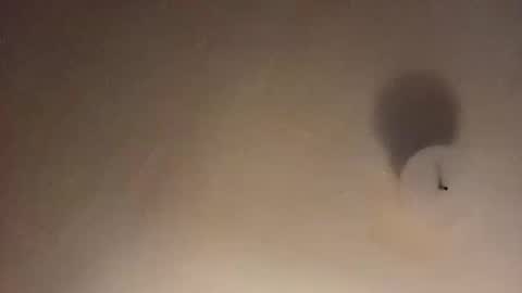 suckfucksuck69 online show from 12-11-24, 10:14