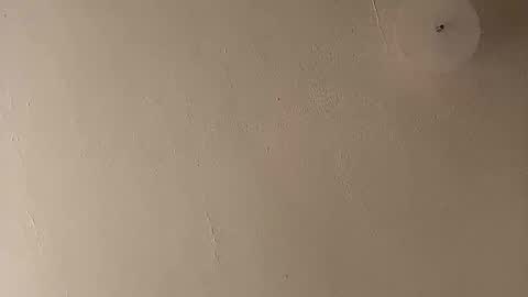 suckfucksuck69 online show from 12-11-24, 01:17