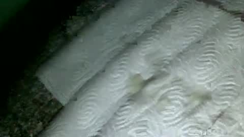 Snapshot of suesser0009 chatting on 02-18-25, 09:53 Martin sweetboy online show from 02-18-25, 09:53