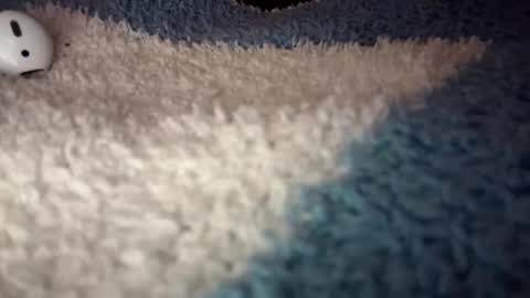 Snapshot of sunflowerxo chatting on 09-09-25, 04:56 Sofie online show from 09-09-25, 04:56