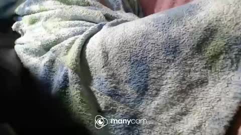 sven online show from 11-06-25, 07:04