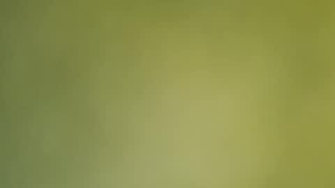 Annie online show from 12-19-24, 12:56