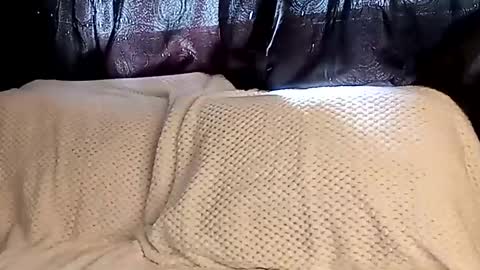 Annie online show from 03-08-25, 07:42