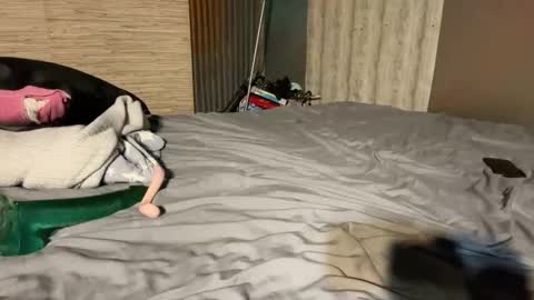 Snapshot of supremelifers chatting on 01-08-26, 07:16 Stony online show from 01-08-26, 07:16