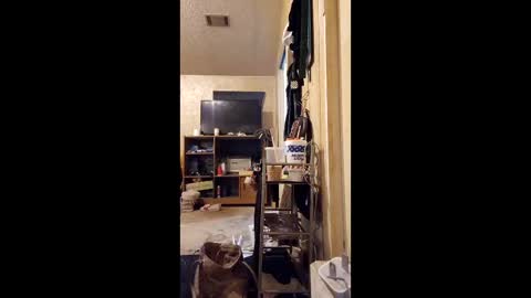 Snapshot of surfsup850 chatting on 12-18-25, 03:01 surfsup850 online show from 12-18-25, 03:01