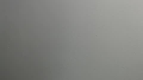 sussy leon online show from 01-28-25, 12:11