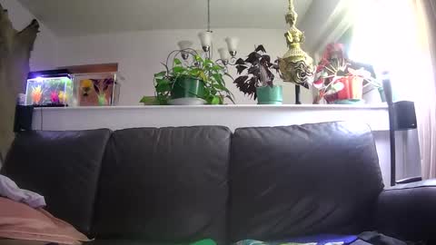 Otto online show from 01-16-26, 05:33