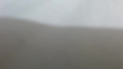 Snapshot of suzyblack4 chatting on 02-17-26, 12:34 Suzy online show from 02-17-26, 12:34