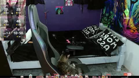 elizabeth grey online show from 09-20-25, 11:28