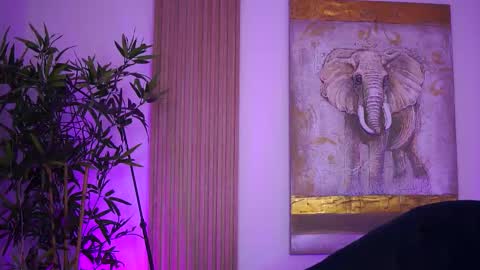 Lilly online show from 10-04-25, 08:45