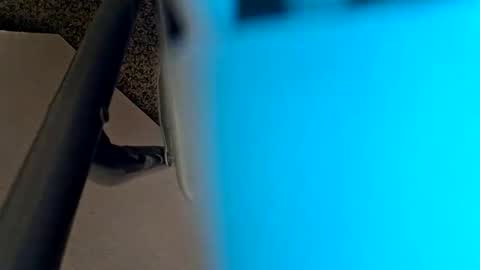 Snapshot of sweetboy842 chatting on 01-28-25, 02:32 sweetboy842 online show from 01-28-25, 02:32