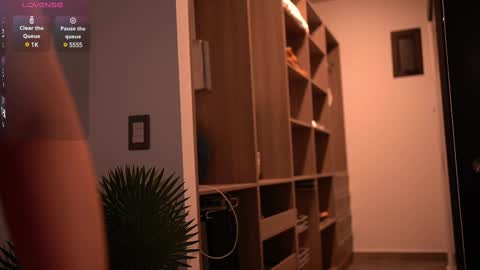 Brenda  online show from 02-16-25, 02:09