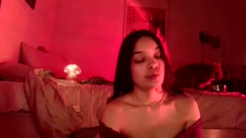 Snapshot of sweetieslikebutter chatting on 12-17-24, 04:56 Blu Sweets online show from 12-17-24, 04:56