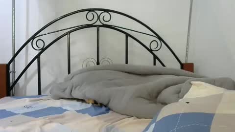 Snapshot of sweetvalariy chatting on 01-24-25, 11:59 sweetvalariy online show from 01-24-25, 11:59