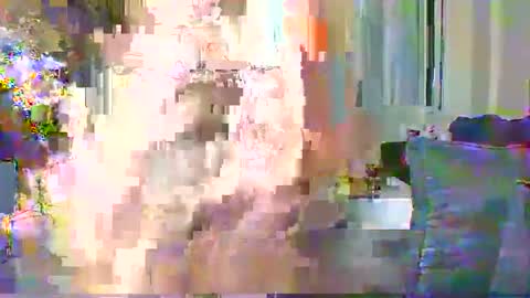 Cute vixen online show from 12-11-24, 02:30