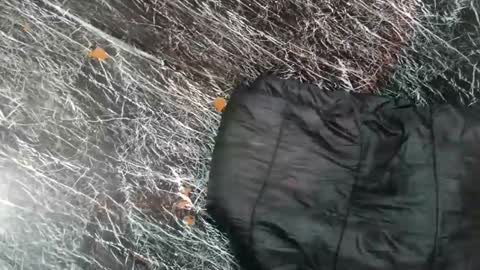 - allen online show from 11-08-25, 07:52