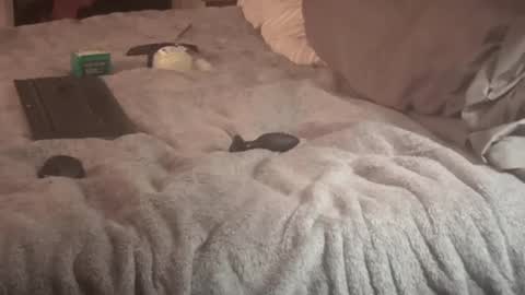 SissyDenver online show from 09-14-25, 09:30