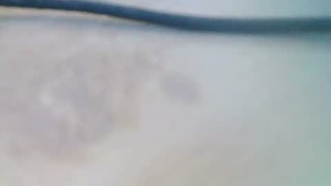 Snapshot of syrius57920 chatting on 12-05-24, 08:22 syrius57920 online show from 12-05-24, 08:22