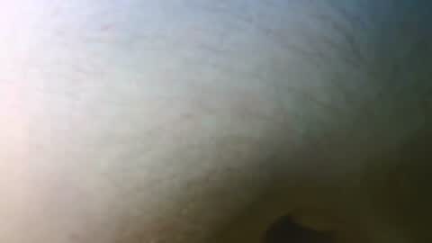 Snapshot of syrius57920 chatting on 11-07-25, 05:13 syrius57920 online show from 11-07-25, 05:13