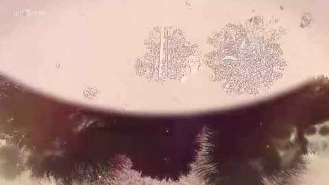 Snapshot of taanni_bc chatting on 02-22-26, 10:08 TAANNI online show from 02-22-26, 10:08